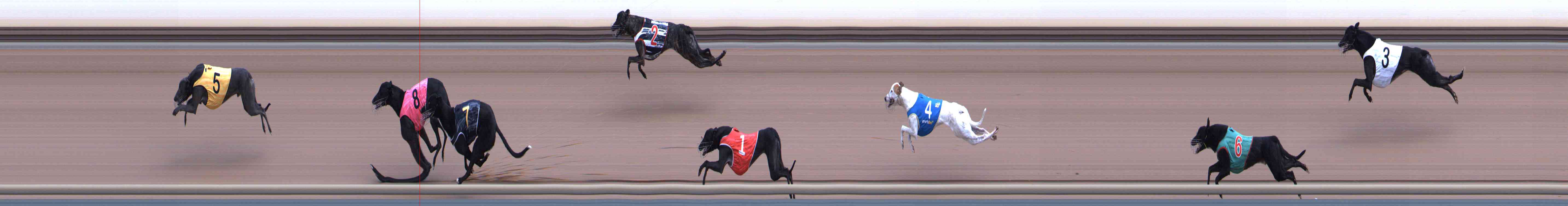 Race result finish photo